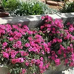 By The Sea Veli Iz, Iz - 6255 Apartament *
